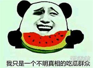 吃瓜事件是什么意思,网络舆论场中的热点追踪与反思