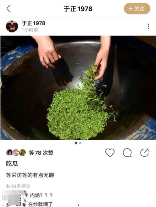 吃瓜看剧小透明,小透明逆袭记